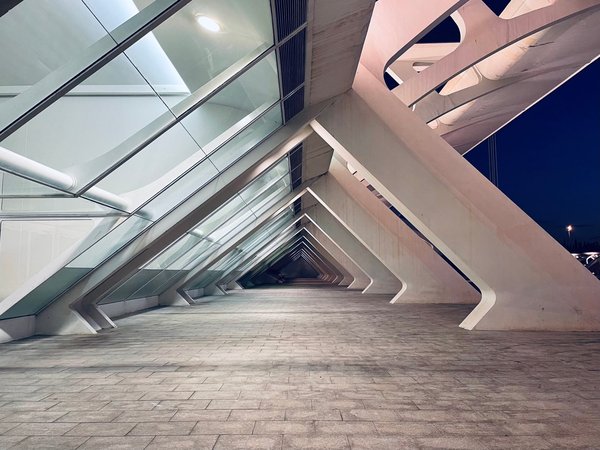 Lyon : révélez la beauté architecturale avec un photographe expert
