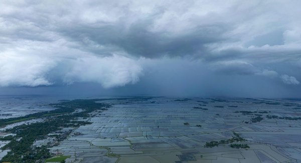 Comprendre l'impact environnemental avec l'analyse du cycle de vie